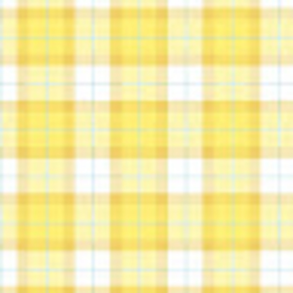 Meet your Posher, Ava